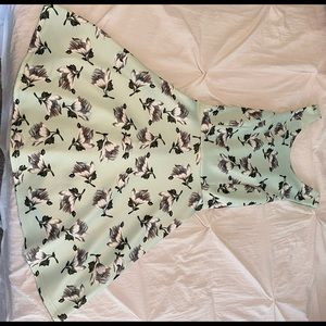 Mint green francescas dress